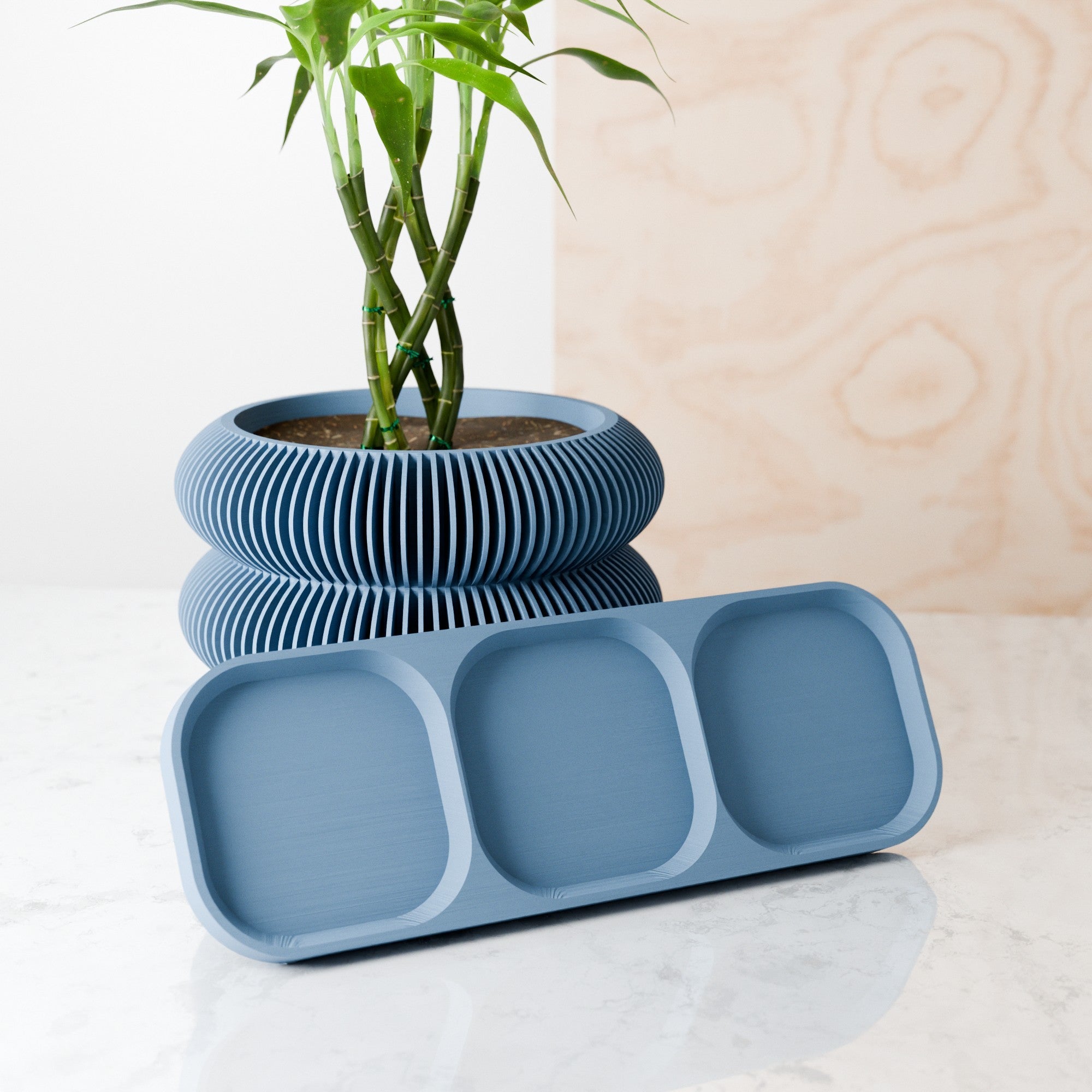 Blue planter with a bamboo plant on a white surface