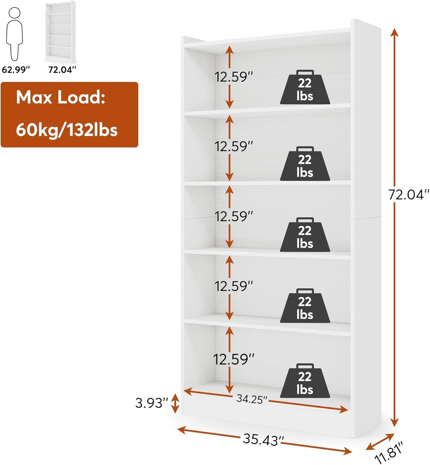White bookshelf with measurements and weight capacity indicators on a white background