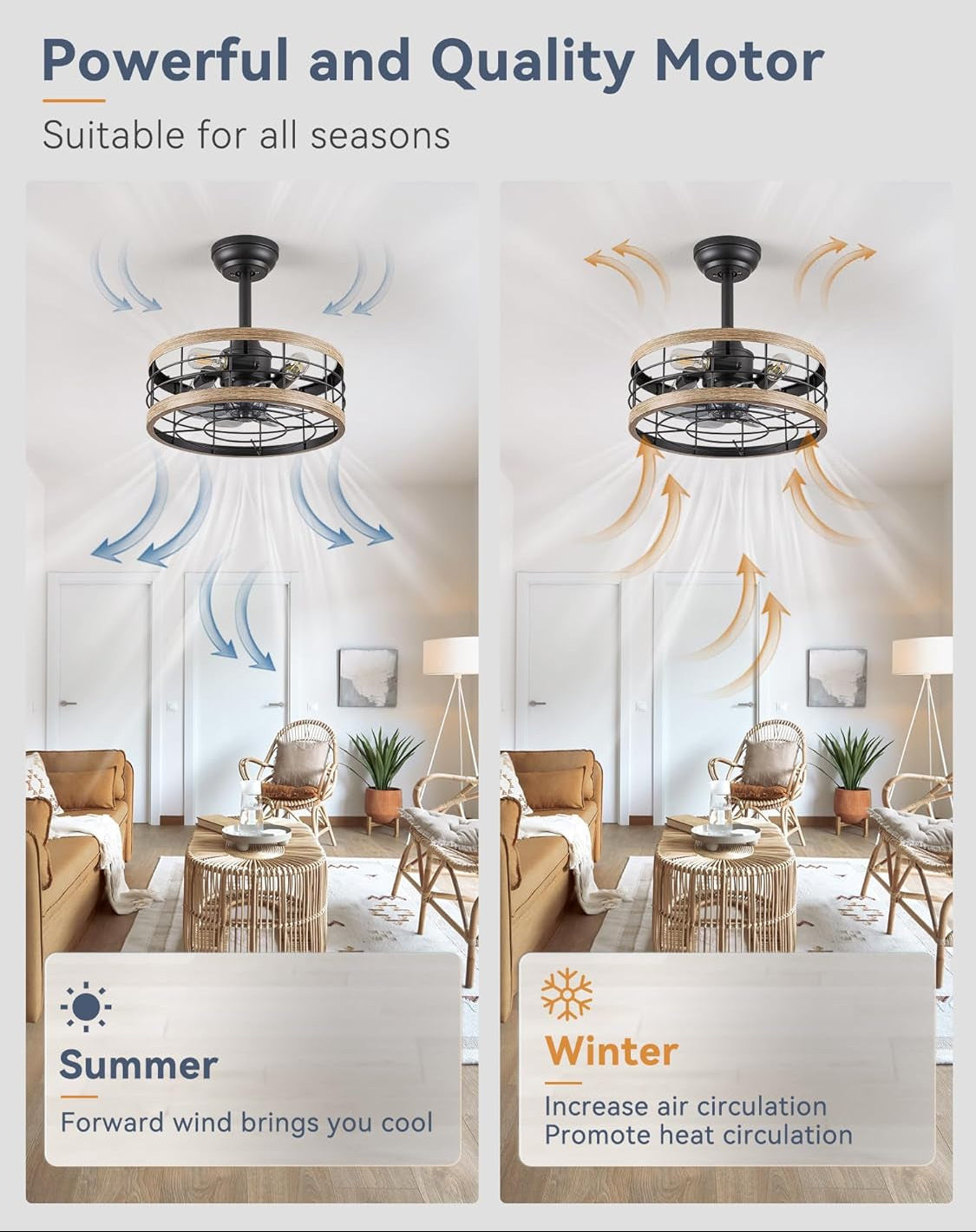 Ceiling fan with summer and winter benefits displayed in a room setting.