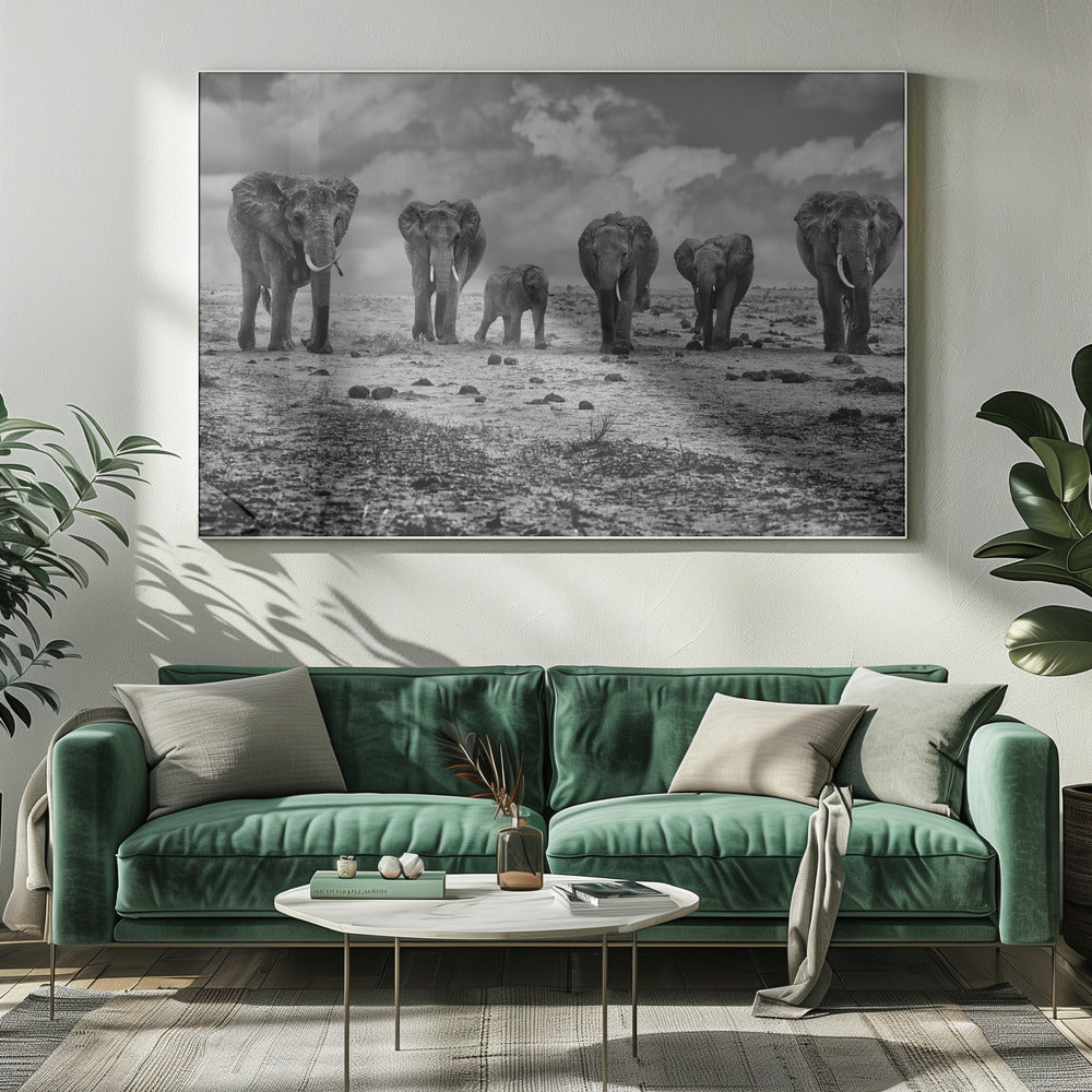 Wall art Big Family. Elephants-5
