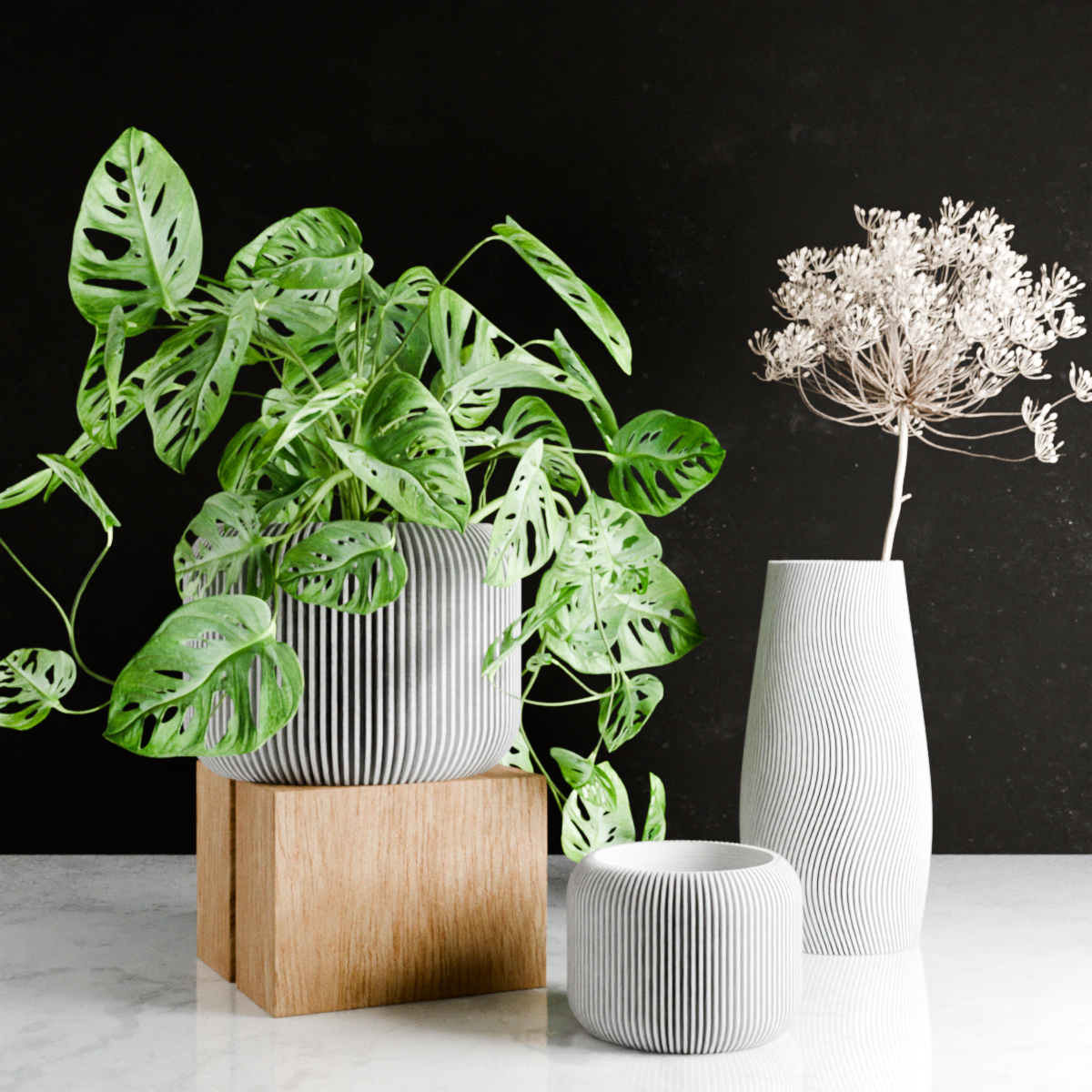 Decorative vases with plants on a black background