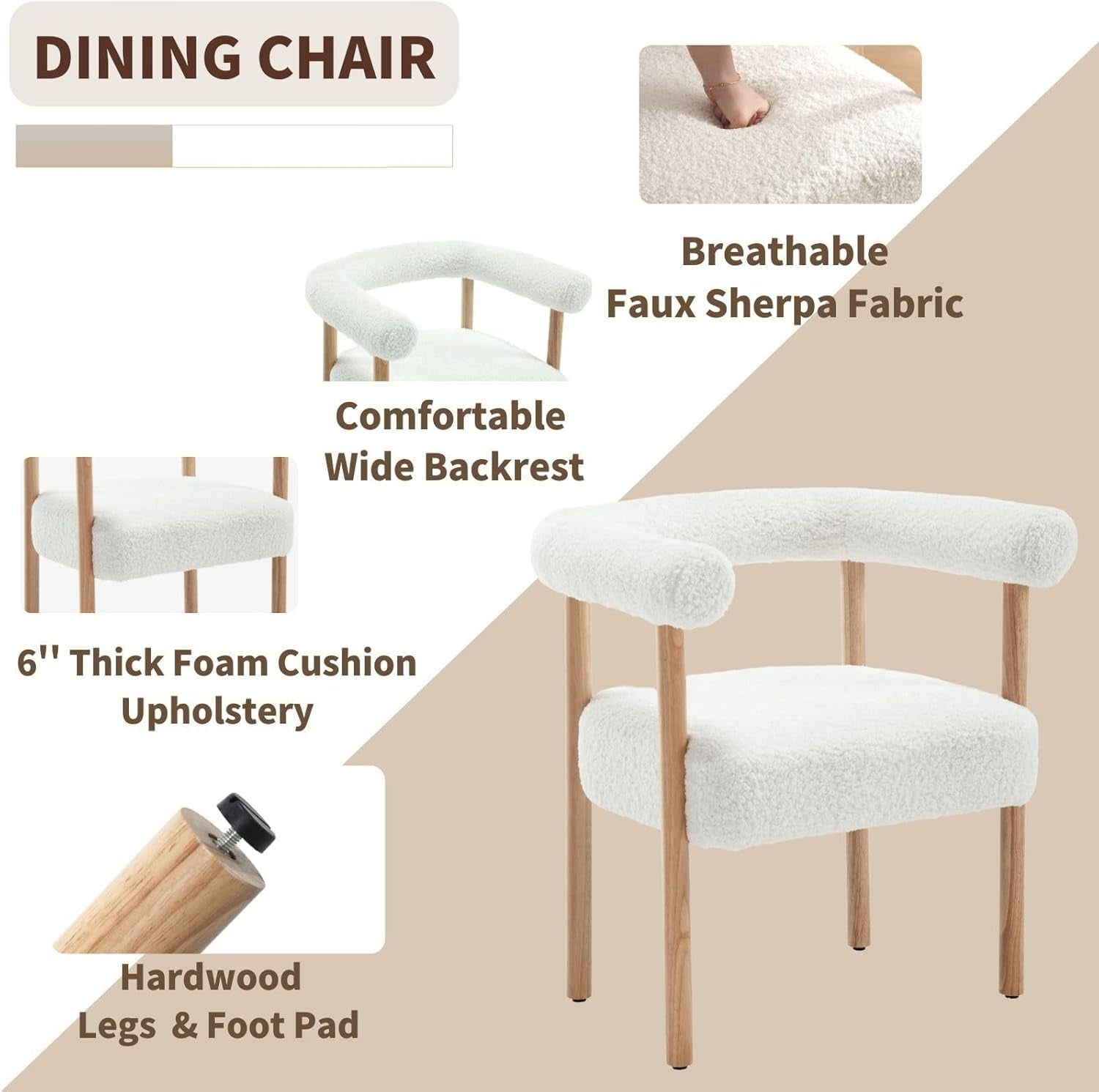 Dining chair with features highlighted on a beige background