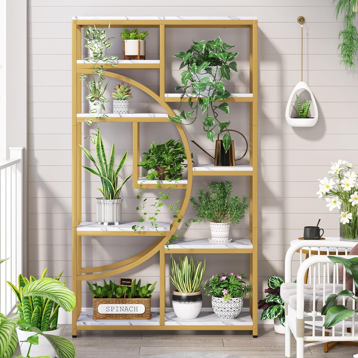 Wooden plant shelf with various potted plants against a light wooden paneled wall.