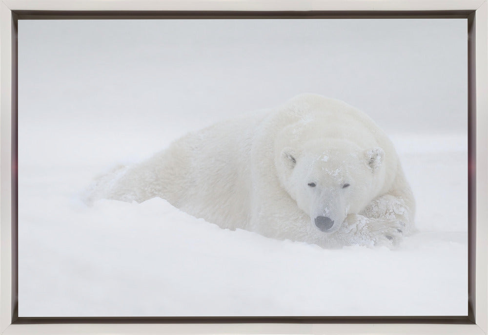 Wall art White-1