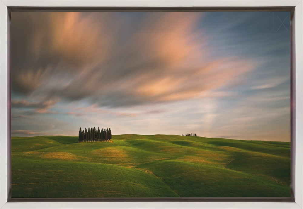 Wall art Fields...-1