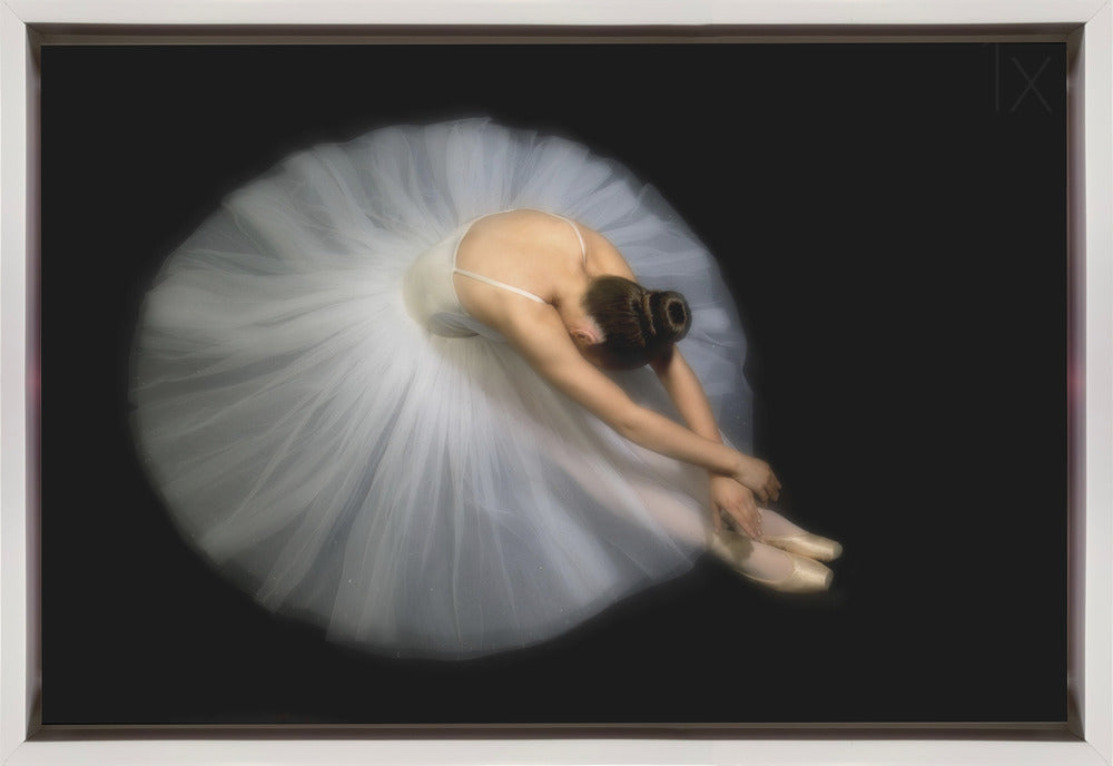 Wall art Elegance. Dance-1