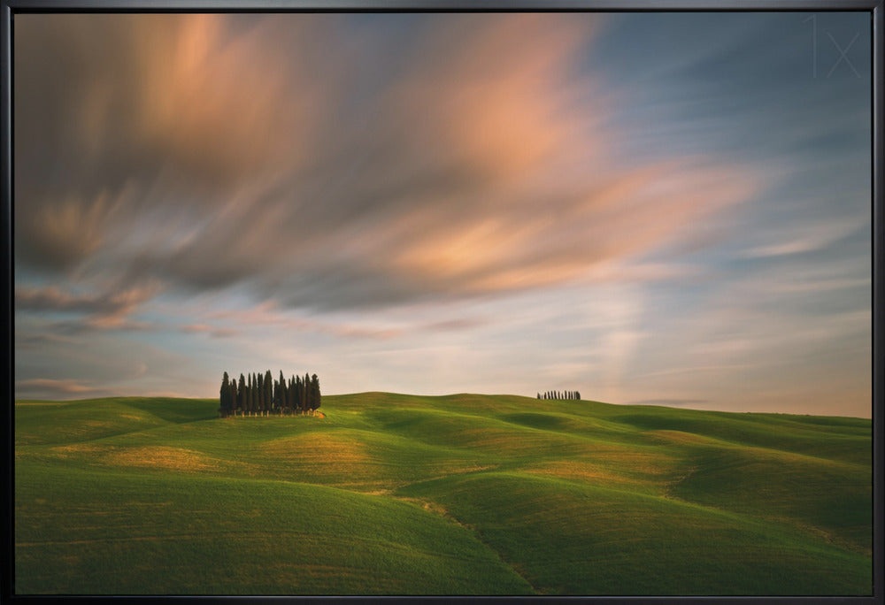 Wall art Fields...-2