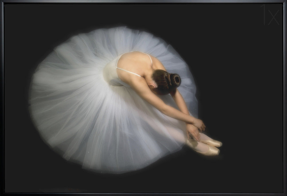Wall art Elegance. Dance-2