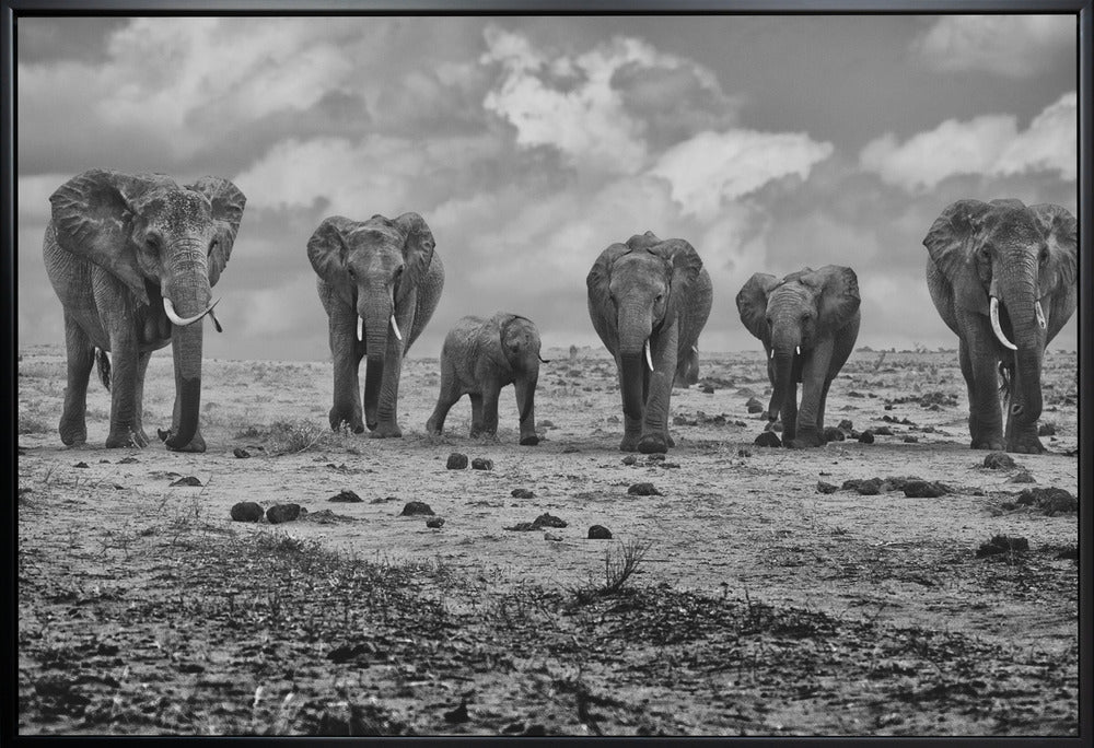 Wall art Big Family. Elephants-2