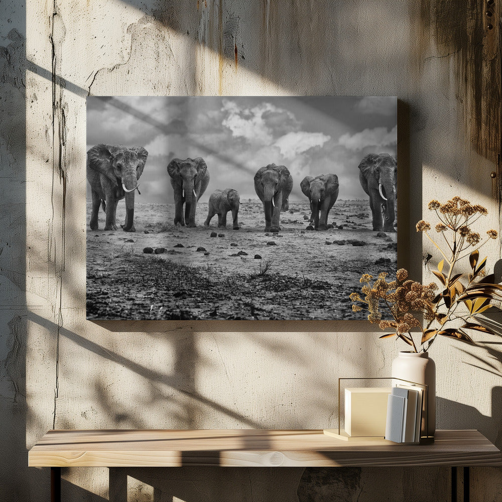 Wall art Big Family. Elephants-4