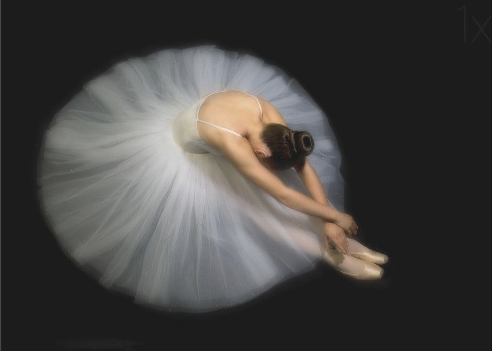Wall art Elegance. Dance-3