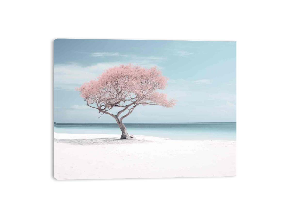 Tree with pink blossoms on a white sandy beach with blue sky