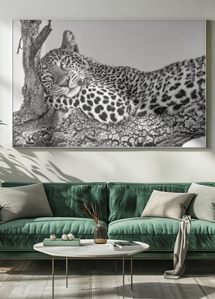 Time to rest Leopard-5