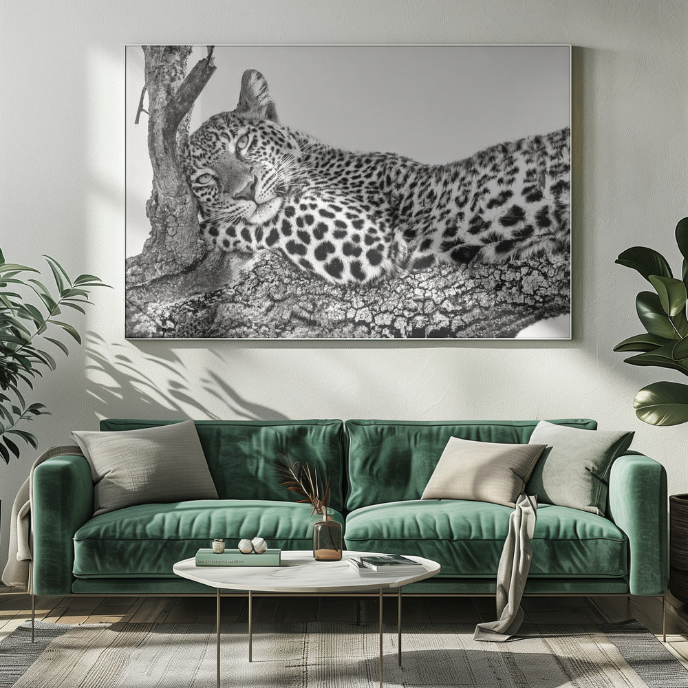 Time to rest Leopard-5