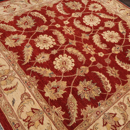 6x9 Rust, Beige Hand Knotted Persian 100% Wool Chobi Peshawar Traditional  Oriental Area Rug-4