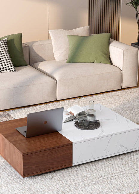 Modern Style Walnut Coffee Table With Two Storage Spaces-3