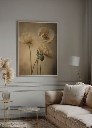 Poppies 24-5