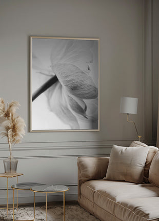 Blooming Flower-5