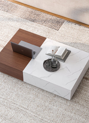 Modern Style Walnut Coffee Table With Two Storage Spaces-4