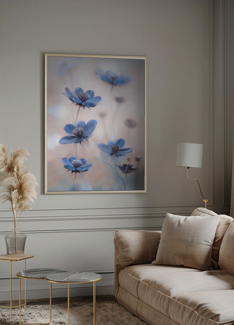 Cosmos blue-5