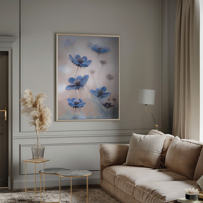 Cosmos blue-5