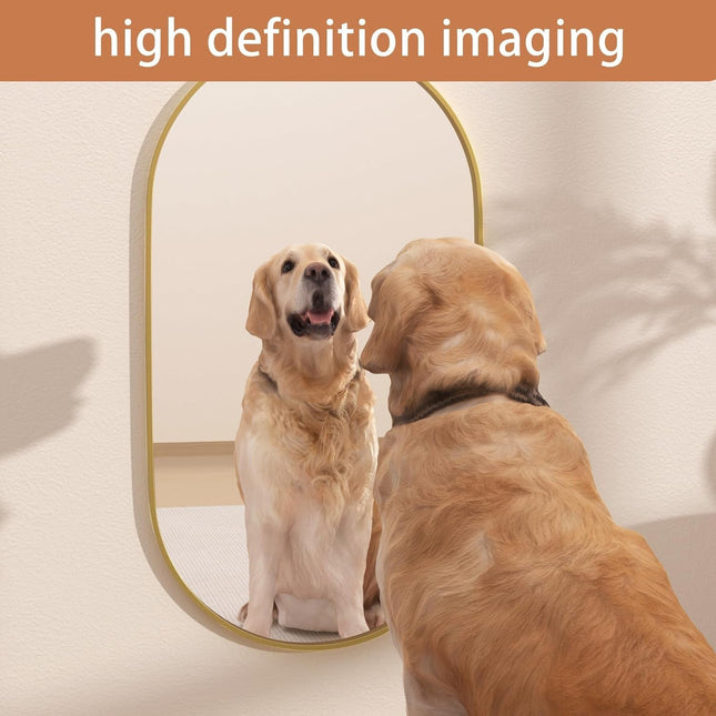 Dog looking at itself in a mirror with 'high definition imaging' text above.