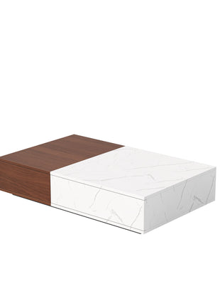 Modern Style Walnut Coffee Table With Two Storage Spaces-1