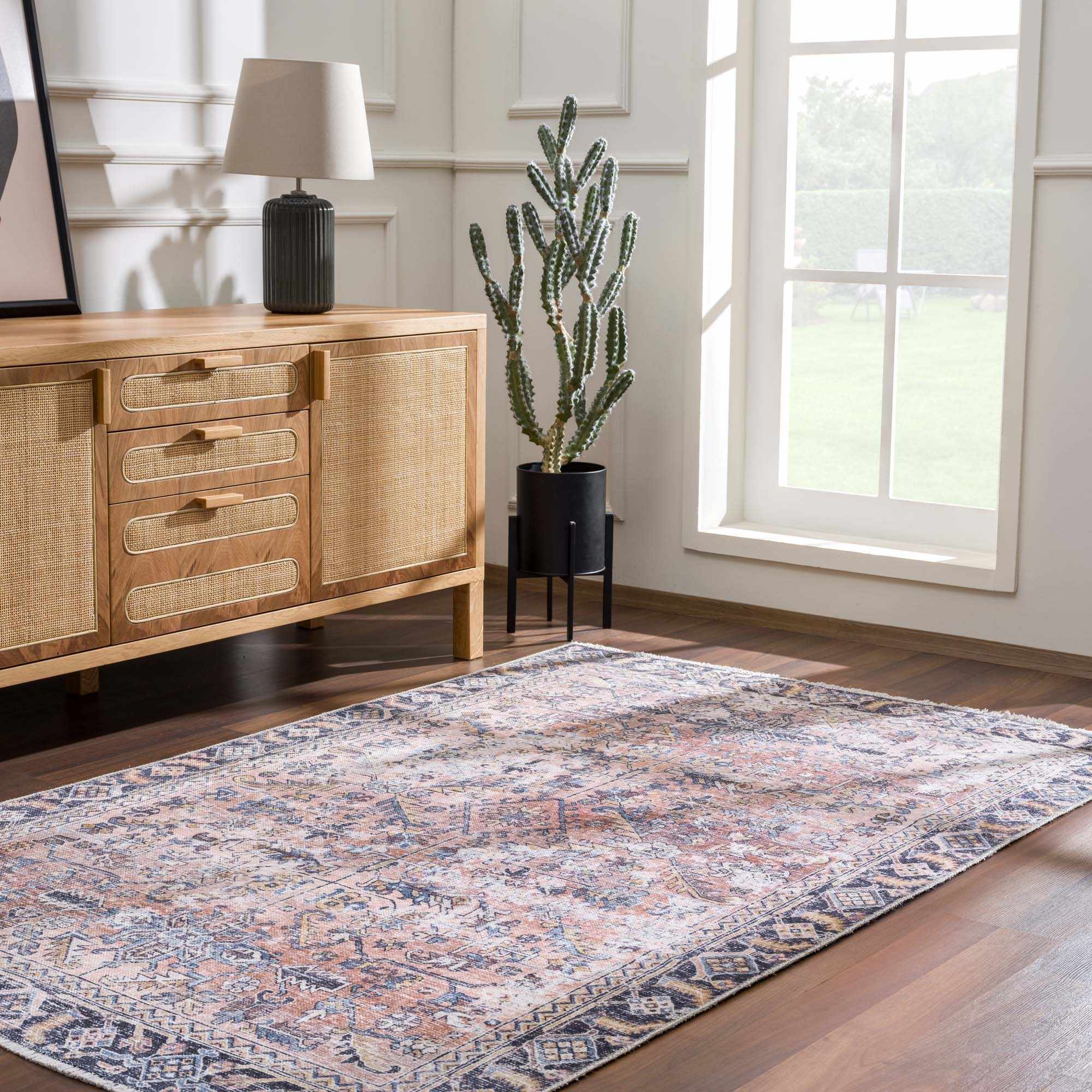 Living room with a patterned rug, wooden sideboard, and a cactus plant.