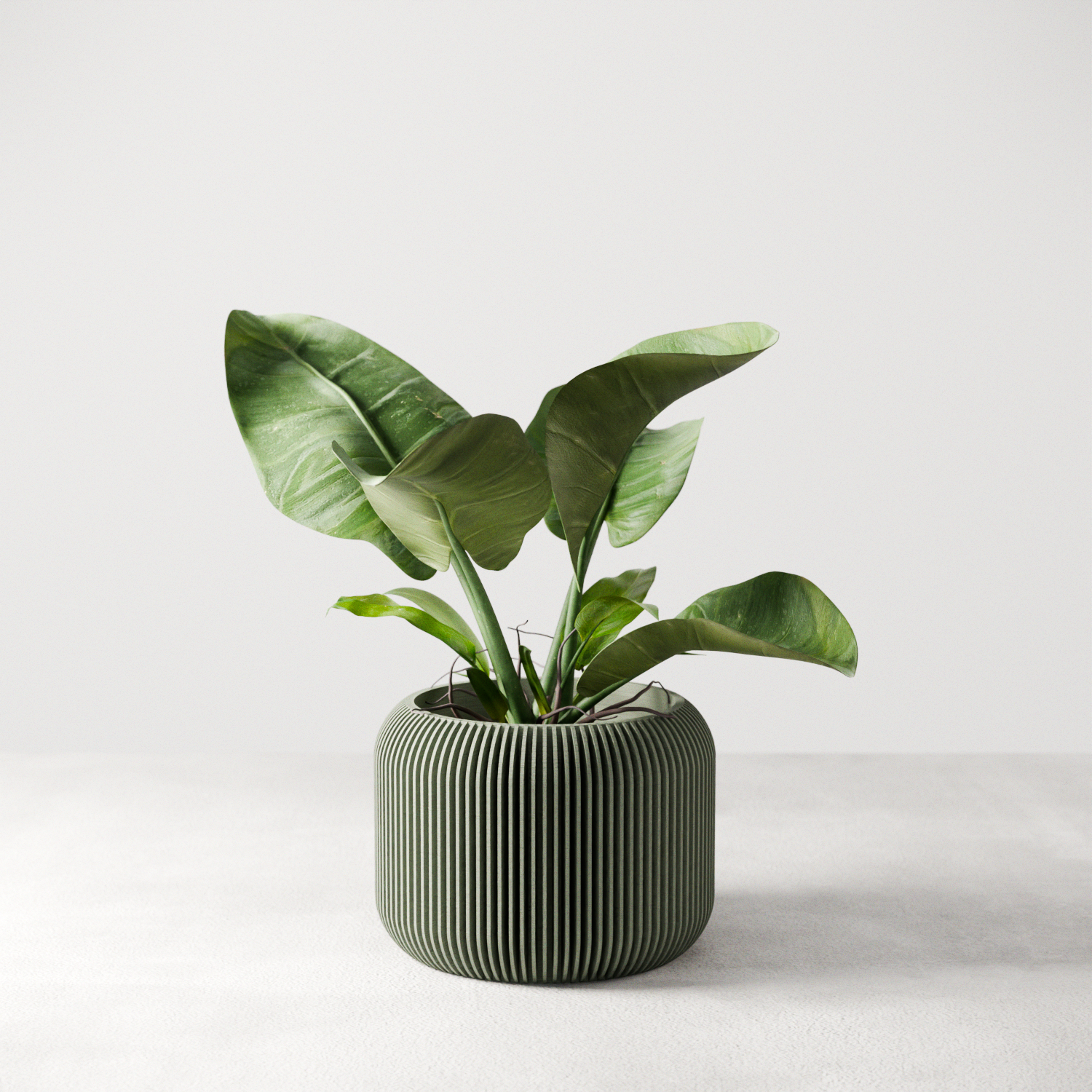 Green potted plant in a ribbed pot on a light gray background