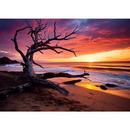 Beach Sunset Canvas Art Print