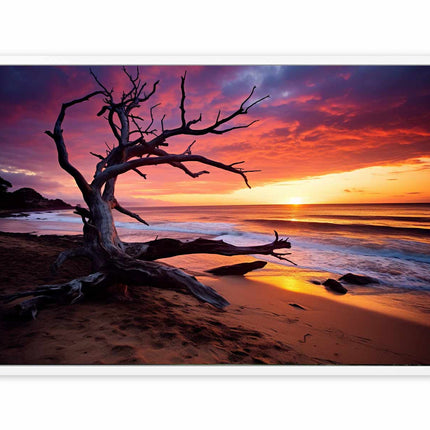 Beach Sunset Canvas Art Print