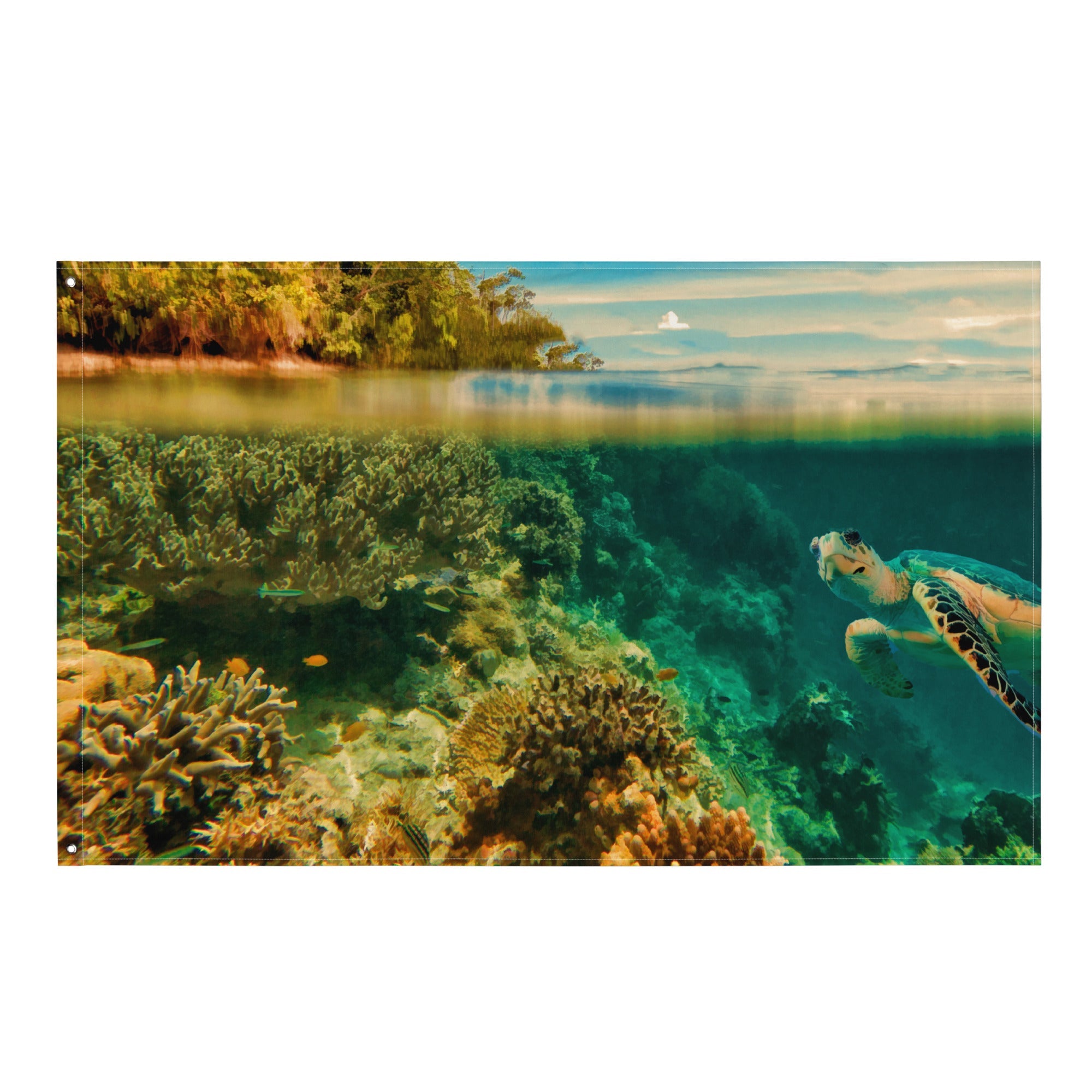 Split-view of a turtle swimming over coral reef with land in the background