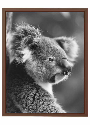 Baby Koala Canvas Art Print Photography art