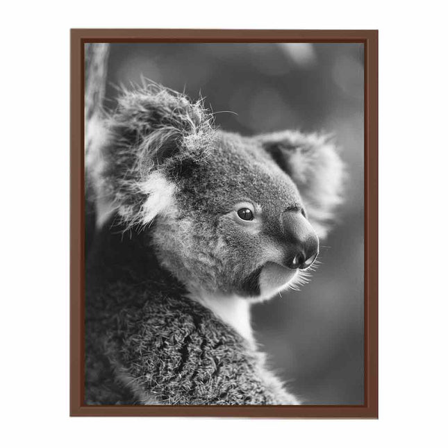 Baby Koala Canvas Art Print Photography art