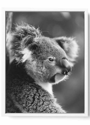Baby Koala Canvas Art Print Photography art