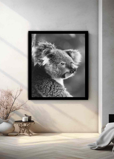 Baby Koala Canvas Art Print Photography art
