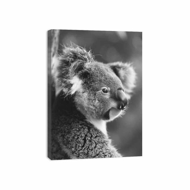 Baby Koala Canvas Art Print Photography art