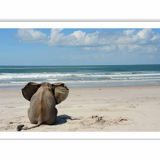 Elephant sitting on a beach with ocean and sky in the background
