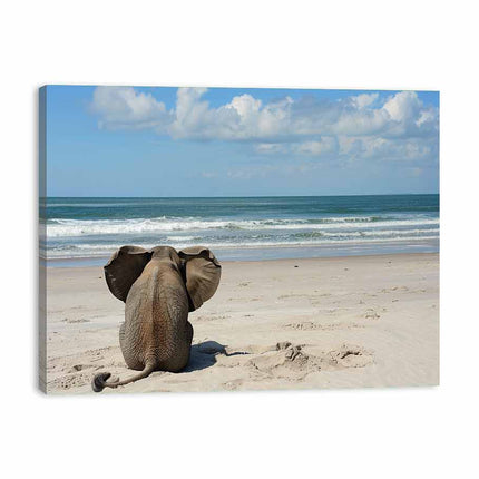 Elephant sitting on a beach with ocean and sky in the background