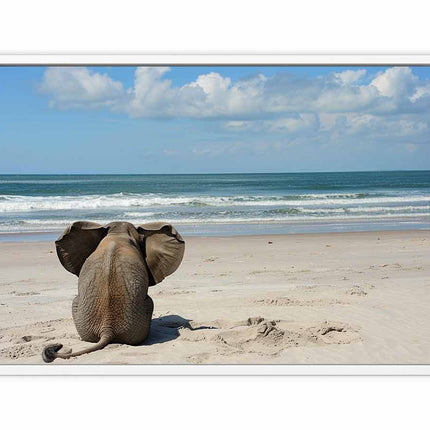 Elephant sitting on a beach with ocean and sky in the background