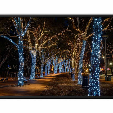 Trees decorated with blue lights on a path at night