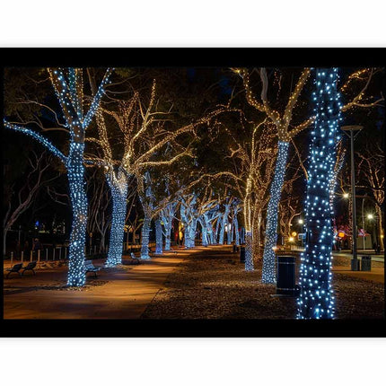 Decorative lights on trees in a park at night
