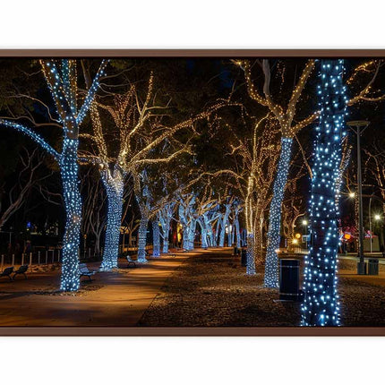 Pathway lined with trees decorated with blue lights at night.