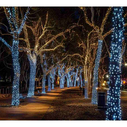 Decorative string lights on trees in a park at night