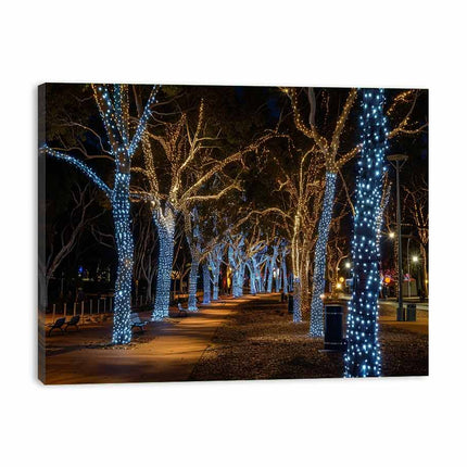 Decorative lights on trees in a park at night
