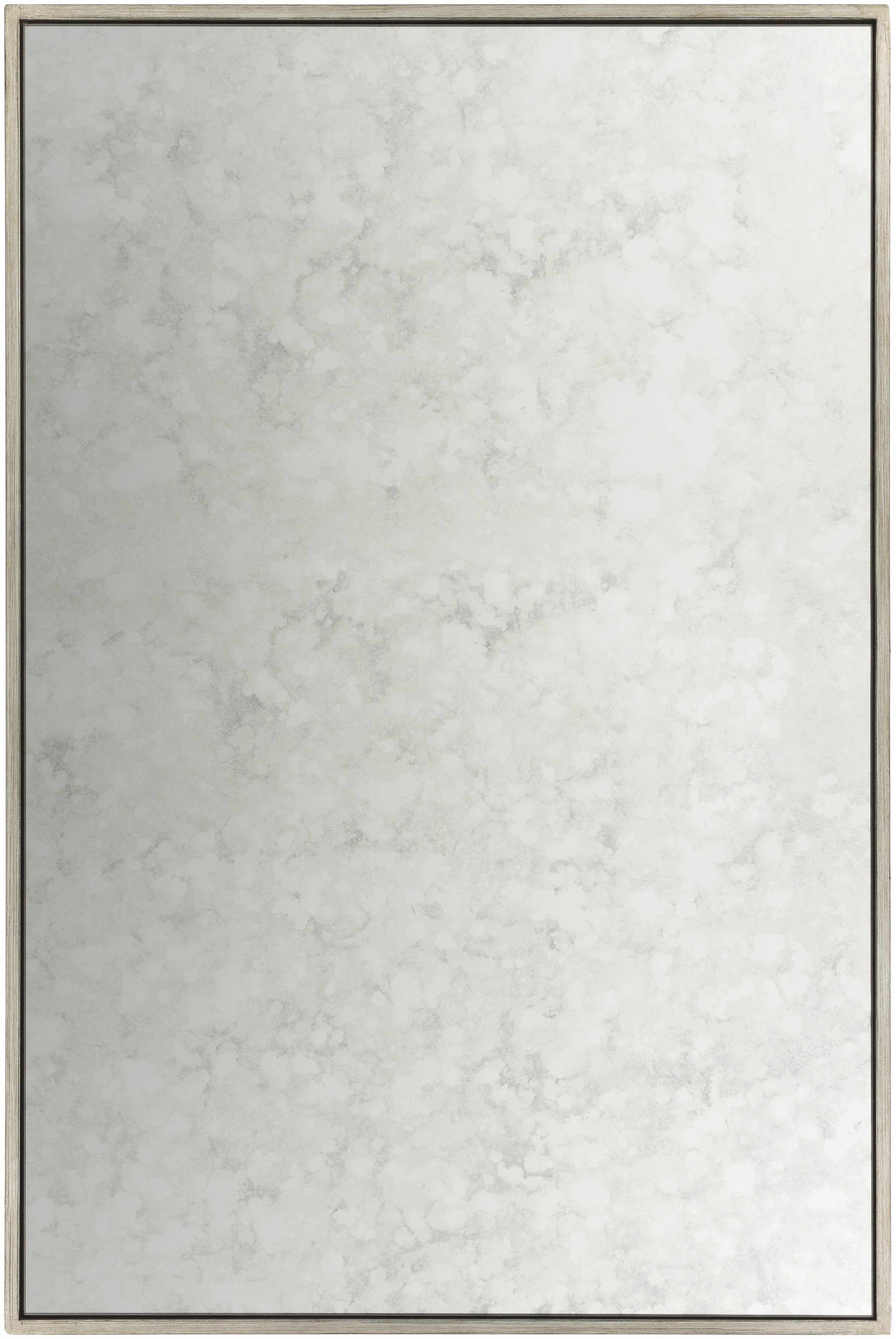 Belleview Silver Gray Iron Mirror-0