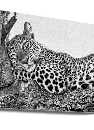 Time to rest Leopard-0