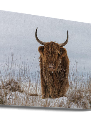 Highlander in Snow-0
