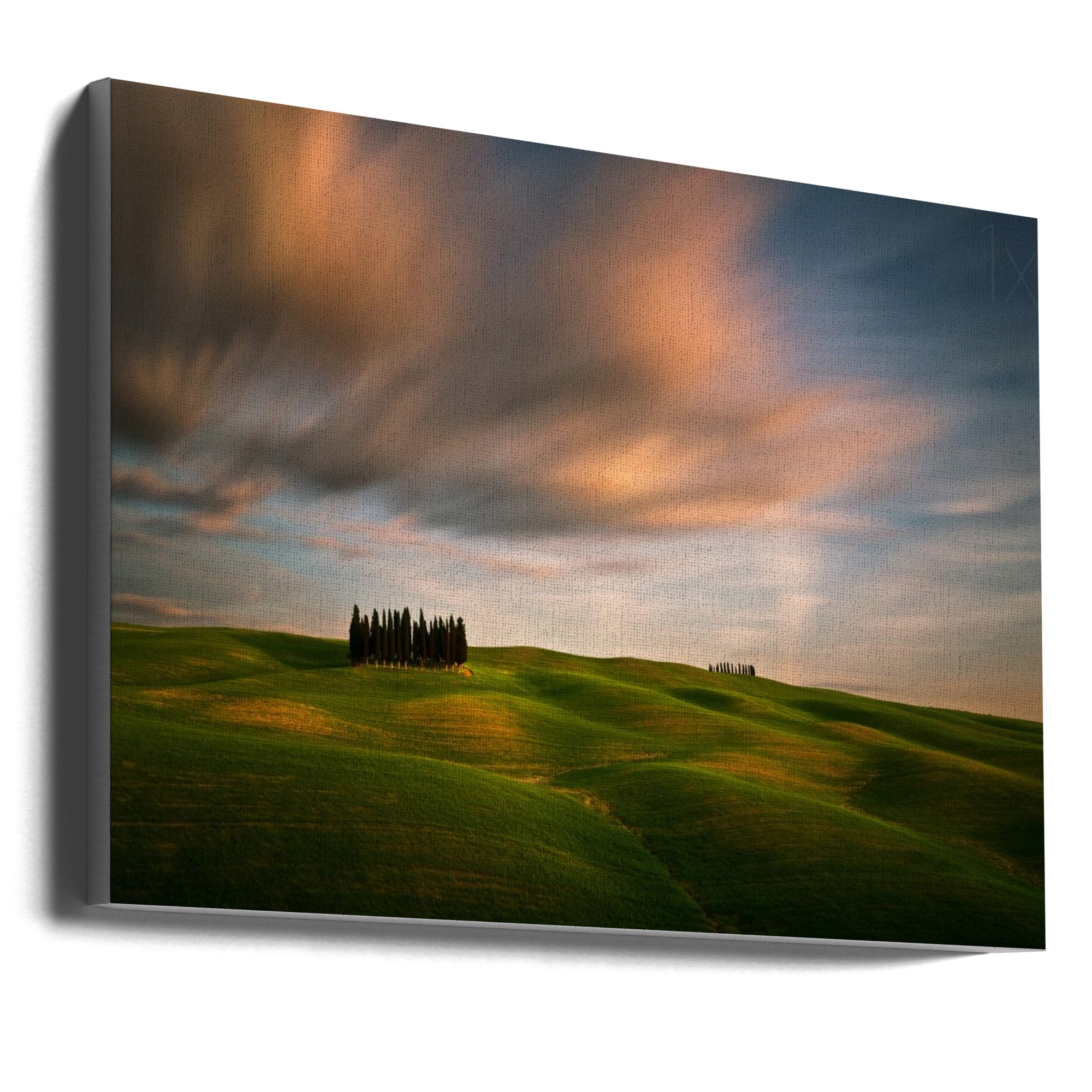 Wall art Fields...-0