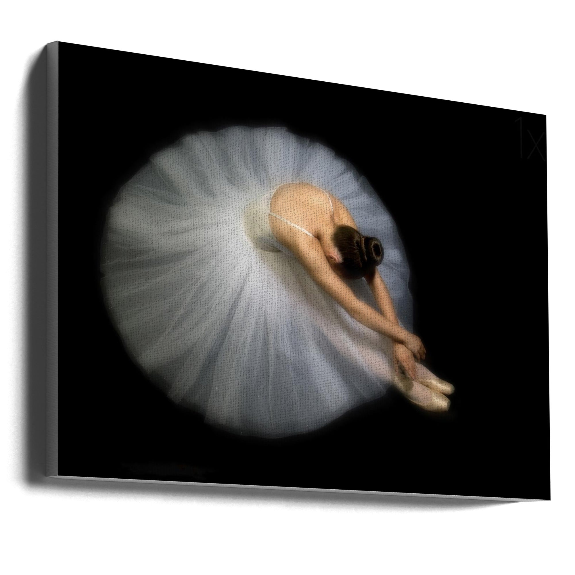 Wall art Elegance. Dance-0